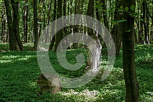 Forgotten old abandoned cemetery in the woods. Broken grave monuments