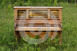 Abandoned Piano Forgotten in a Green Field