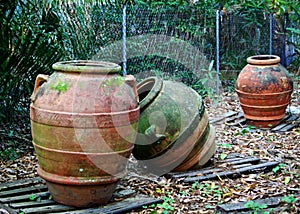 Forgotten Pots