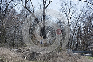 Forgotten roadway stop sign photo