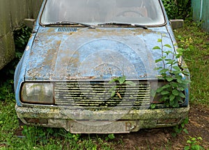 Forgotten, rusty and scratched cars for many years.