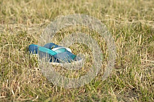 Forgotten shoes slippers blue color, on the grass, on the lawn