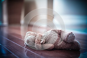 Forgotten Teddy Bear on the Floor