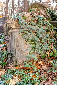 Forgotten tombstone