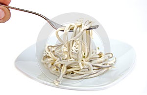 Fork and baby eels or elver substitute in garlic photo
