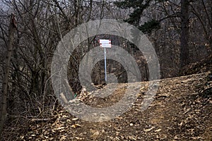 Fork between a bend in road and a dirt trail in a forest on a mountain on a cloudy day in winter