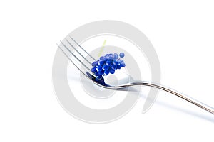 Fork with blue lavender