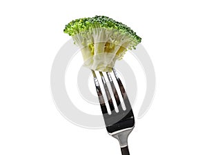 fork with broccoli floret isolated on white background