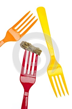 Fork with Canned Asparagus