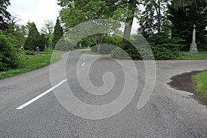 Fork in a cemetery road