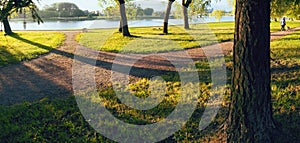 The fork of the coastal pedestrian path near the river in the morning rays of the rising sun. Beautiful summer conceptual