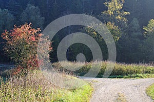 Fork in a country road in hilly landscape