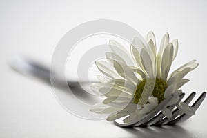 Fork and flower