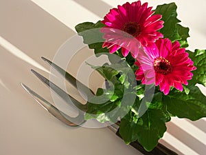 Fork and flowering plant