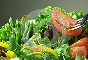 Fork with fresh salad