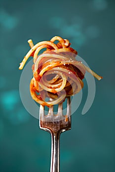 A fork full of spaghetti and red sauce