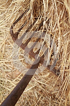 Fork and Hay