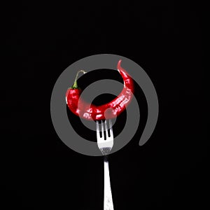 Fork impale to red hot chili on black photo
