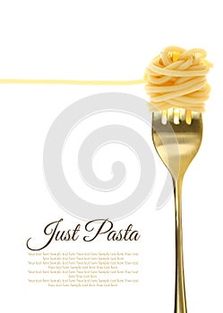 Fork with just spaghetti