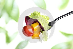 Fork lettuce salad leaves, cherry tomato and pepper iusolated