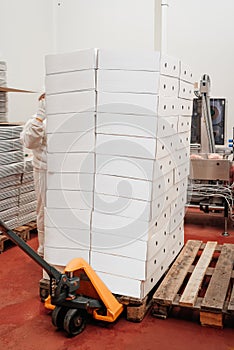 Fork pallet truck with cardboard boxes in a warehouse.Manual pallet truck with carton boxes .Distribution Center.Puts
