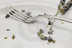 Fork on a plate photo