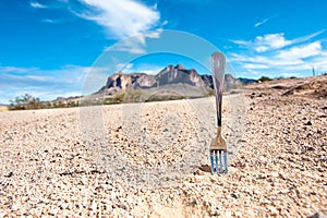 Fork in the road