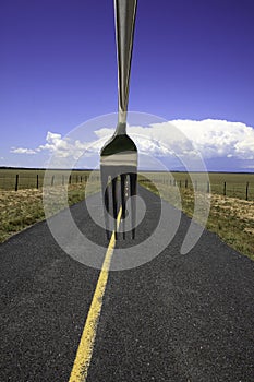 Fork In The Road