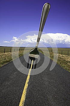 Fork In The Road