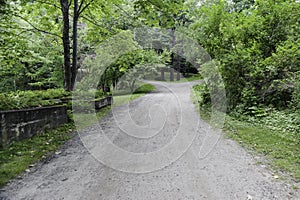 Fork in road