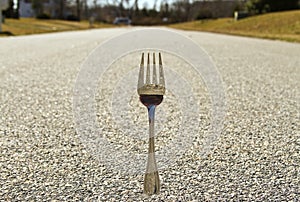 Fork in the Road (Concept)