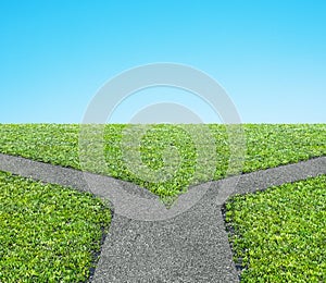 Fork at road concept