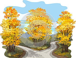 Fork in the road through a forest of autumn trees.