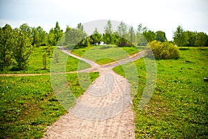 Fork in the road in the park and dandelions