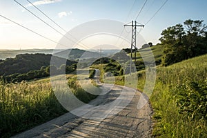 Fork in the road through powerline trail