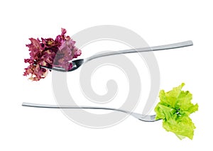 Fork with salad on a white background