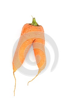 Forked Misshaped Carrot Vegetable