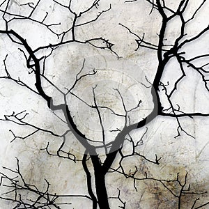 Forked Tree Silhouette Abstract. photo