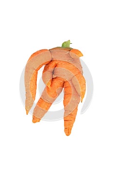 Forked and Twisted Deformed Carrot Vegetable photo