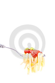 Forkful with succulent and tasty spaghetti with tomato sauce