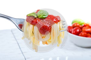 Forkful with succulent and tasty spaghetti with tomato sauce