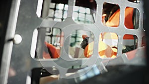 Forklift driver in protective vest driving forklift at warehouse of freight forwarding company. Man on the forklift