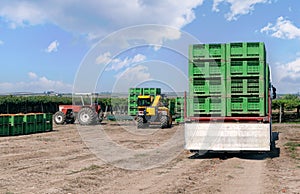Forklift loader loads plastics containers on a truck.