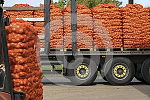 Forklift Loading Fresh Onion into the Truck for Distribution To Market