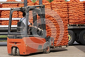 Forklift Loading Mesh Bags of Fresh Onion into the Truck