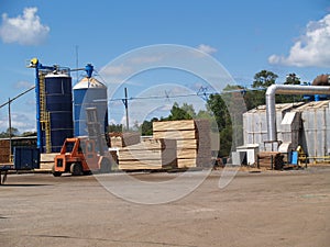 Forklift Moving Pallets in a South Georgia Lumber