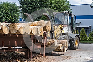 Forklift truck grabs wood in a wood processing plant. Large log loader unloading a log truck in the log yard at a