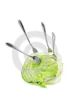 Forks on Iceberg Lettuce
