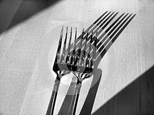 Forks and Shadows