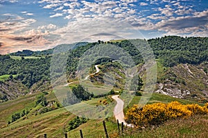 Forli-Cesena, Emilia Romagna, Italy: landscape of the Apennine m photo